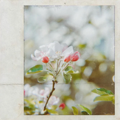 I Guess We're Alright