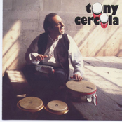 Tony cercola