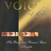 Voices Of Life