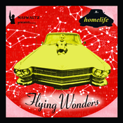 Flying Wonders by Homelife