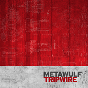 Tripwire