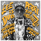 Subatomic Sound System: Lee 