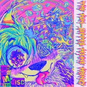 THE FUN​-​DIPPED FELINE FRENZY