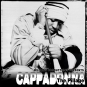 Cappadonna: The Pillage