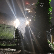 Thank You For Your Service