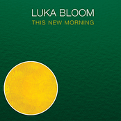 Your Little Wings by Luka Bloom