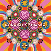 Kaleidhaphonic Live