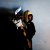 Toast: Dust & Feathers