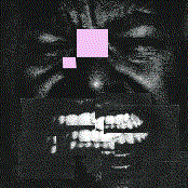 KING KONG FEAT HAWA & THEO CROKER / NO FUTURE /dear freedom