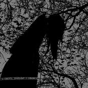 Death Comes From The North