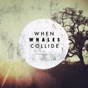 When Whales Collide