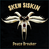 Trouble Shooter by Skew Siskin