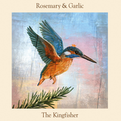 The Kingfisher