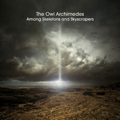 Among Skeletons and Skyscrapers