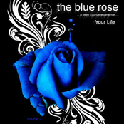 Your Life, Vol. 2 (A Deep Lounge Experience)