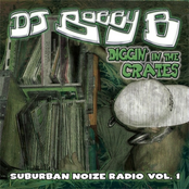 Diggin' in the Crates