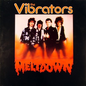 The Sally Gardens by The Vibrators