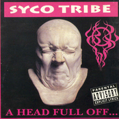 syco tribe