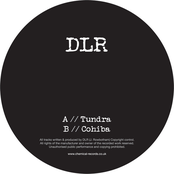 Tundra by Dlr