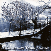 ...И замерзают травы зелёные