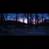 Fire Bloomed From Frost by Velvet Cacoon