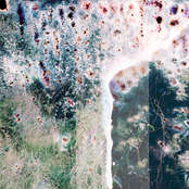 Como Gelatina de Limón