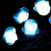 The Colours And Hues