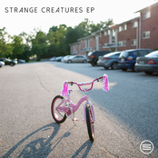 Stacked Like Pancakes: Strange Creatures - EP