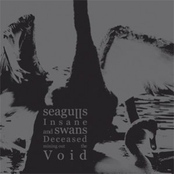 seagulls insane and swans deceased mining out the void