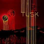 Starvation Dementia by Tusk