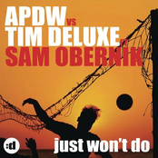 Just Won't Do (feat. Sam Obernik)