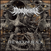 The Widow Black