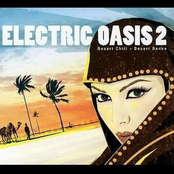 Electric Oasis Vol. 2. Desert Chill Desert Dance