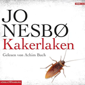 Kakerlaken (Ein Harry-Hole-Krimi 2)