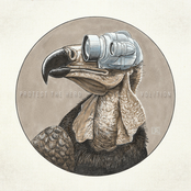 Protest The Hero: Volition