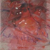 "Oboroed"/"Circus Lives"