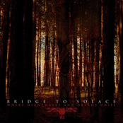 Through The Eyes Of The Dead by Bridge To Solace