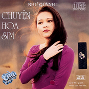 Chuyện Hoa Sim by Như Quỳnh