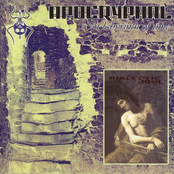 In Labyrinth Of Time