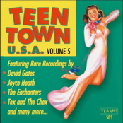 Teen Town U.S.A - Volume 05