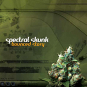 Beyond by Spectral Skunk