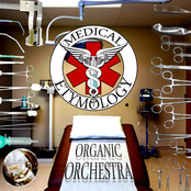 Organic Orchestra