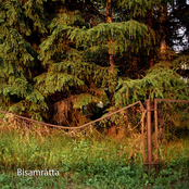 Bisamråtta (EP)