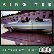 At Your Own Risk by King Tee