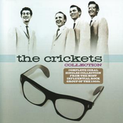 Baby My Heart by The Crickets