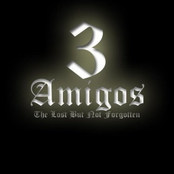 Lost But Not Forgotten