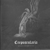 lake of depression / crepuscularia / source of deep shadows / Квазар