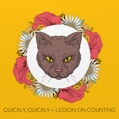 quickly, quickly: Lesson on Counting