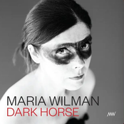 Dark Horse - Single