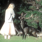 when bambi found her mother